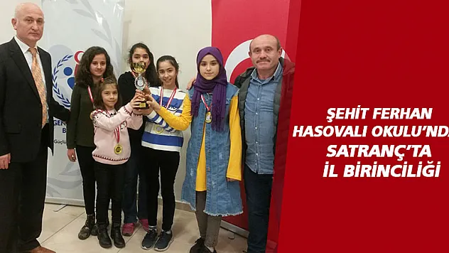 Satranç'ta il birinciliği