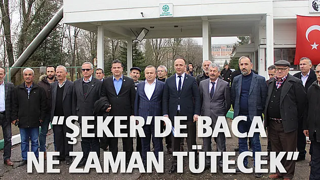 'ŞEKER'DE BACA NE ZAMAN TÜTECEK'