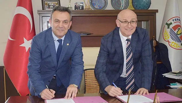 Terme'de asansörler MMO'ya emanet