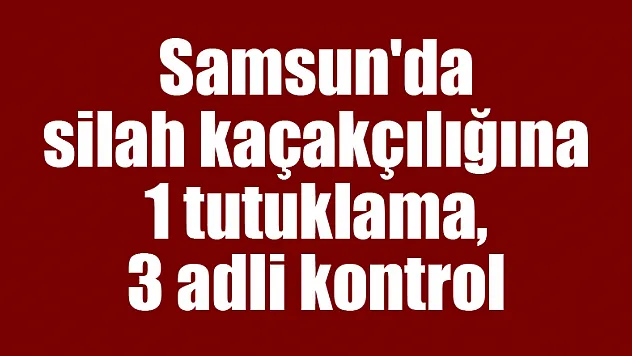 Samsun'da silah kaçakçılığına 1 tutuklama, 3 adli kontrol 