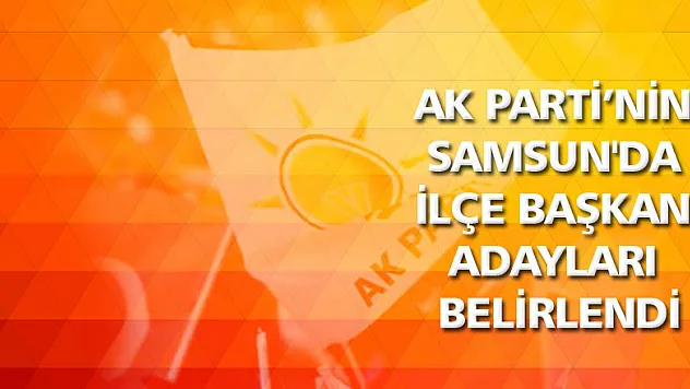 AK Parti'nin Samsun'da ilçe başkan adayları belirlendi