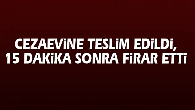 Cezaevine teslim edildi, 15 dakika sonra firar etti