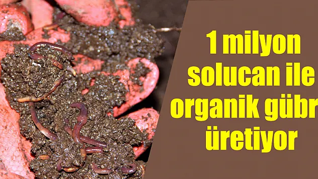 İnsanlar kanser olmasın diye 1 milyon solucan ile organik gübre üretiyor