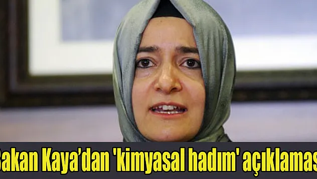 Bakan Kaya'dan 'kimyasal hadım' açıklaması