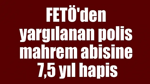 FETÖ'den yargılanan polis mahrem abisine 7,5 yıl hapis
