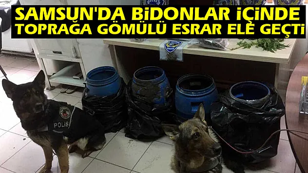 Samsun'da bidonlar içinde toprağa gömülü esrar ele geçti