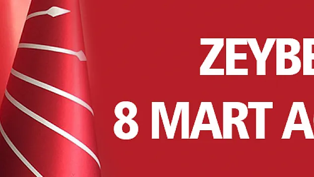 Zeybek'ten 8 Mart açıklaması