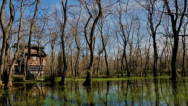 Kızılırmak Deltası doğal güzelliğiyle göz kamaştırıyor 