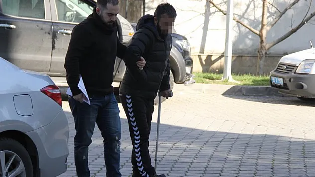 Evinde bonzai bulunan şahıs tutuklandı 