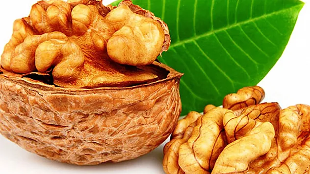 Bağışıklık sistemini güçlendiren besinler nelerdir?