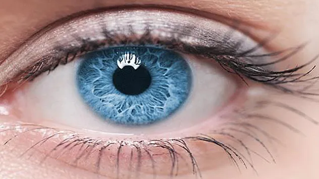 Kontrol edilmeyen glokom kör edebilir