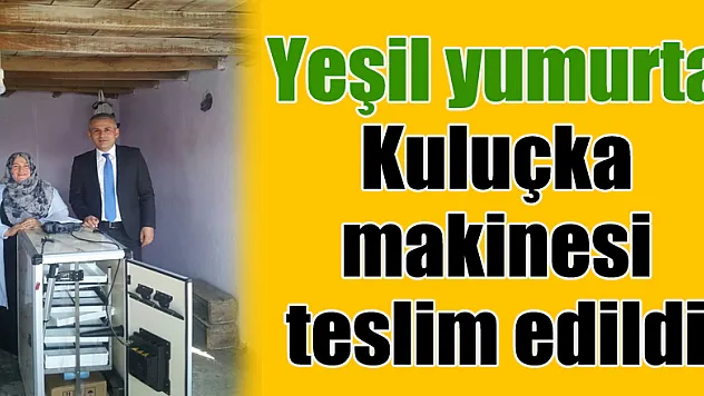 Yeşil yumurta Kuluçka makinesi teslim edildi