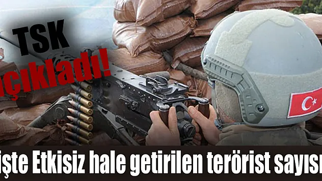 TSK: 'Etkisiz hale getirilen terörist sayısı 3 bin 530 oldu