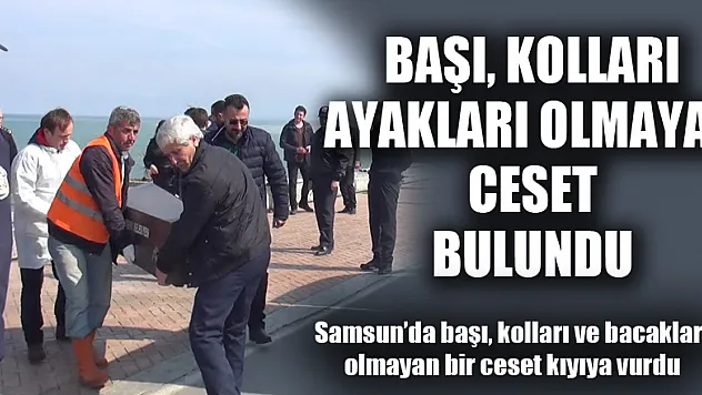 Samsun'da başı, kolları ve ayakları olmayan bir ceset bulundu 