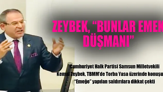 ZEYBEK, 'BUNLAR EMEK DÜŞMANI'