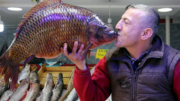 Bu balıkları görenler hayrete düştü