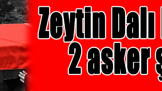 TSK: 'Zeytin Dalı Harekatında 2 asker şehit oldu'
