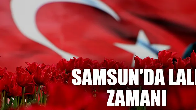 Samsun'da lale zamanı 