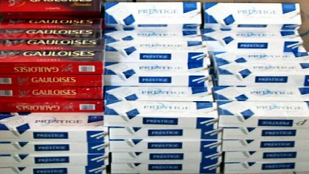 Jandarma bin 380 paket kaçak sigara ele geçirdi 