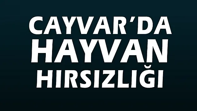 Cayvar'da hayvan hırsızlığı