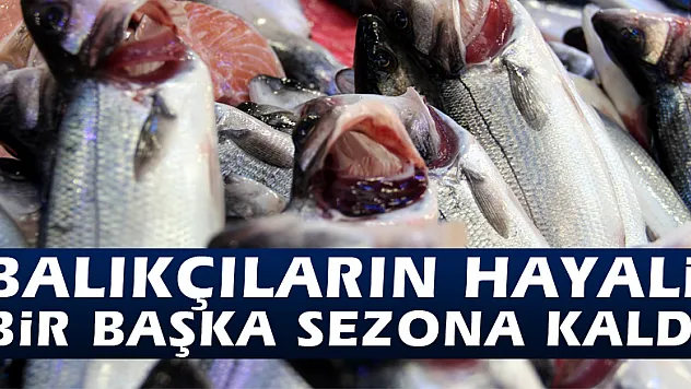 Balıkçıların hayali bir başka sezona kaldı