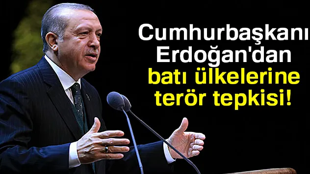 Cumhurbaşkanı Erdoğan'dan batı ülkelerine terör tepkisi
