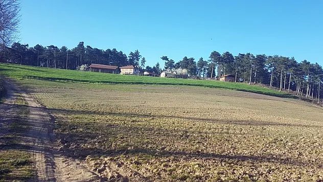  Yan yana olan 3 evin farklı mahalleye bağlı olması şaşırtıyor 