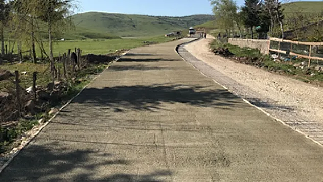 Ordu'da Yeşil Yol'da yaylalar birleşiyor