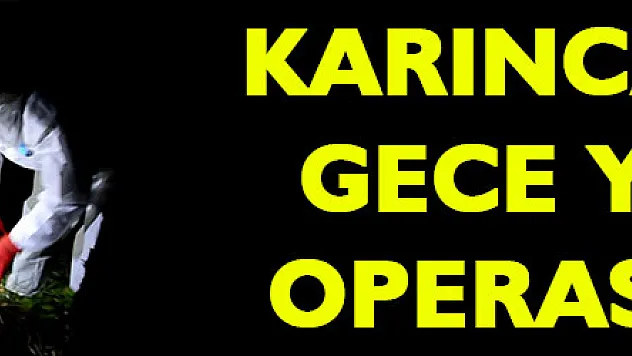 Karıncalara gece yarısı operasyonu
