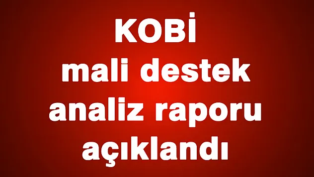 KOBİ mali destek analiz raporu açıklandı