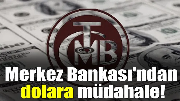 Merkez Bankası'ndan dolara müdahale!
