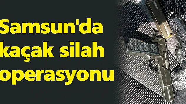 Samsun'da kaçak silah operasyonu
