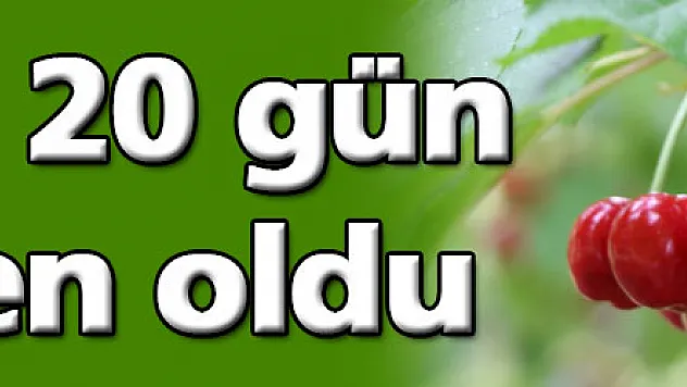 Kirazlar 20 gün erkenden oldu
