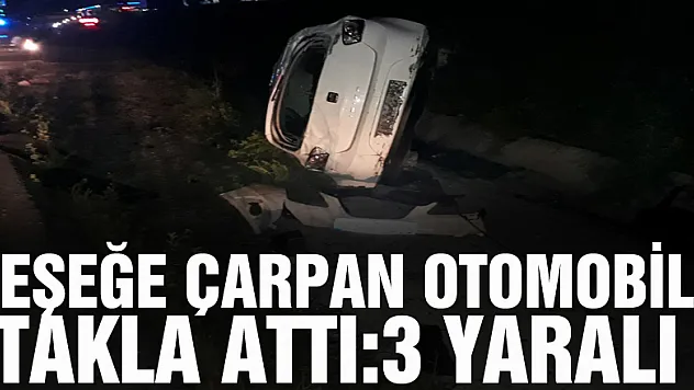 Eşeğe çarpan otomobil takla attı:3 yaralı
