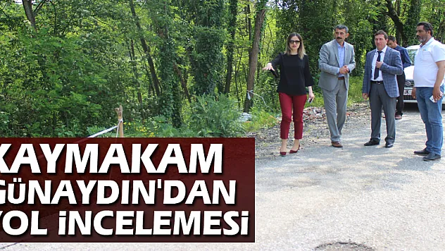 KAYMAKAM GÜNAYDIN'DAN YOL İNCELEMESİ