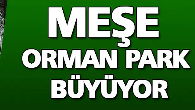 MEŞE ORMAN PARK BÜYÜYOR