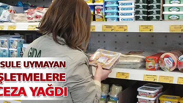  Usule uymayan gıda işletmelerine ceza yağdı 