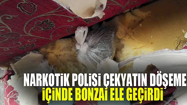 Narkotik polisi çekyatın döşemesi içinde bonzai ele geçirdi 
