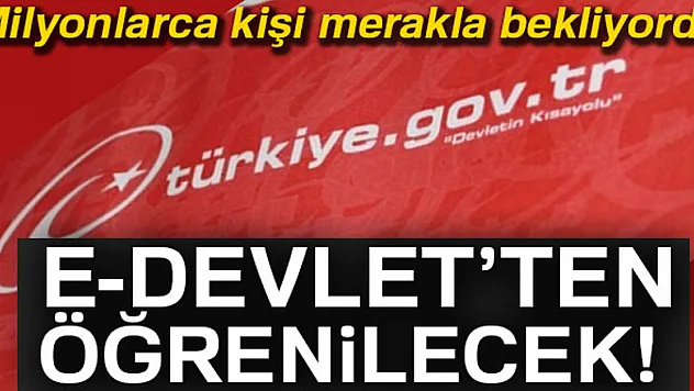 Milyonlarca kişi merakla bekliyordu! e-Devlet'ten öğrenilebilecek