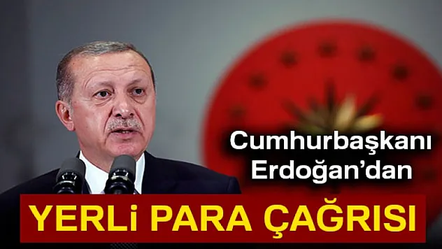 Cumhurbaşkanı Erdoğan'dan yerli para çağrısı