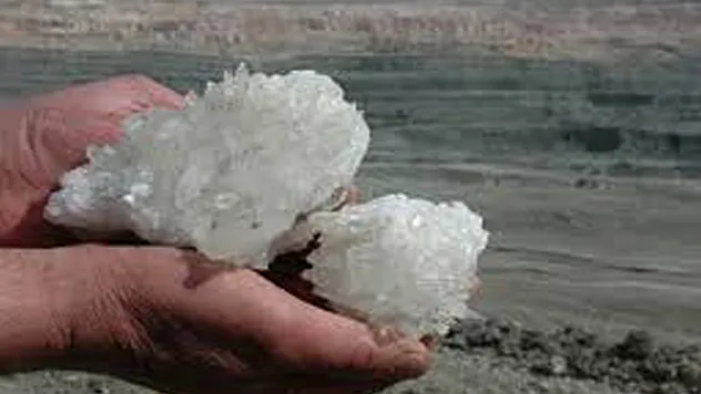 BOR İÇİN HAREKETE GEÇİLİYOR