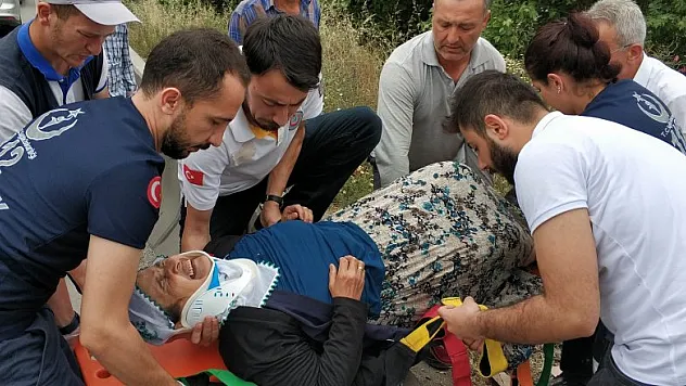 Hasta olan karısını ve kayınpederini hastaneye götürürken kazada hayatını kaybetti 