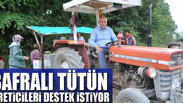 Bafralı tütün üreticileri destek istiyor
