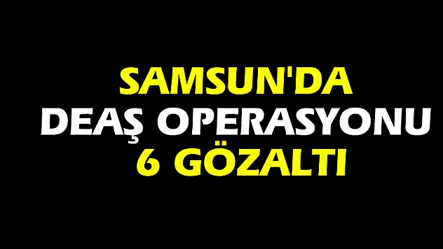 Samsun'da DEAŞ operasyonu: 6 gözaltı