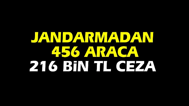 Jandarmadan 456 araca 216 bin TL ceza