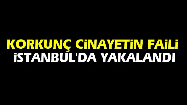 Korkunç cinayetin faili İstanbul'da yakalandı