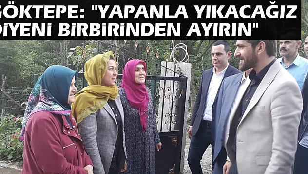 Göktepe: 'Yapanla yıkacağız diyeni birbirinden ayırın'