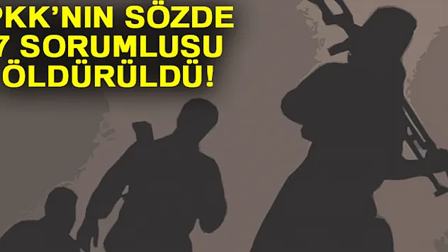 İçişleri Bakanlığı: 22 terörist daha etkisiz hale getirildi