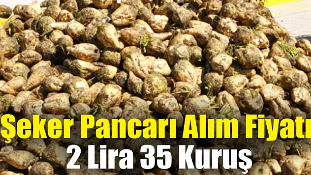 Şeker Pancarı Alım Fiyatı 2 Lira 35 Kuruş