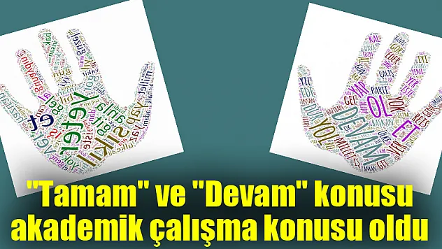 'Tamam' ve 'Devam' konusu akademik çalışma konusu oldu 